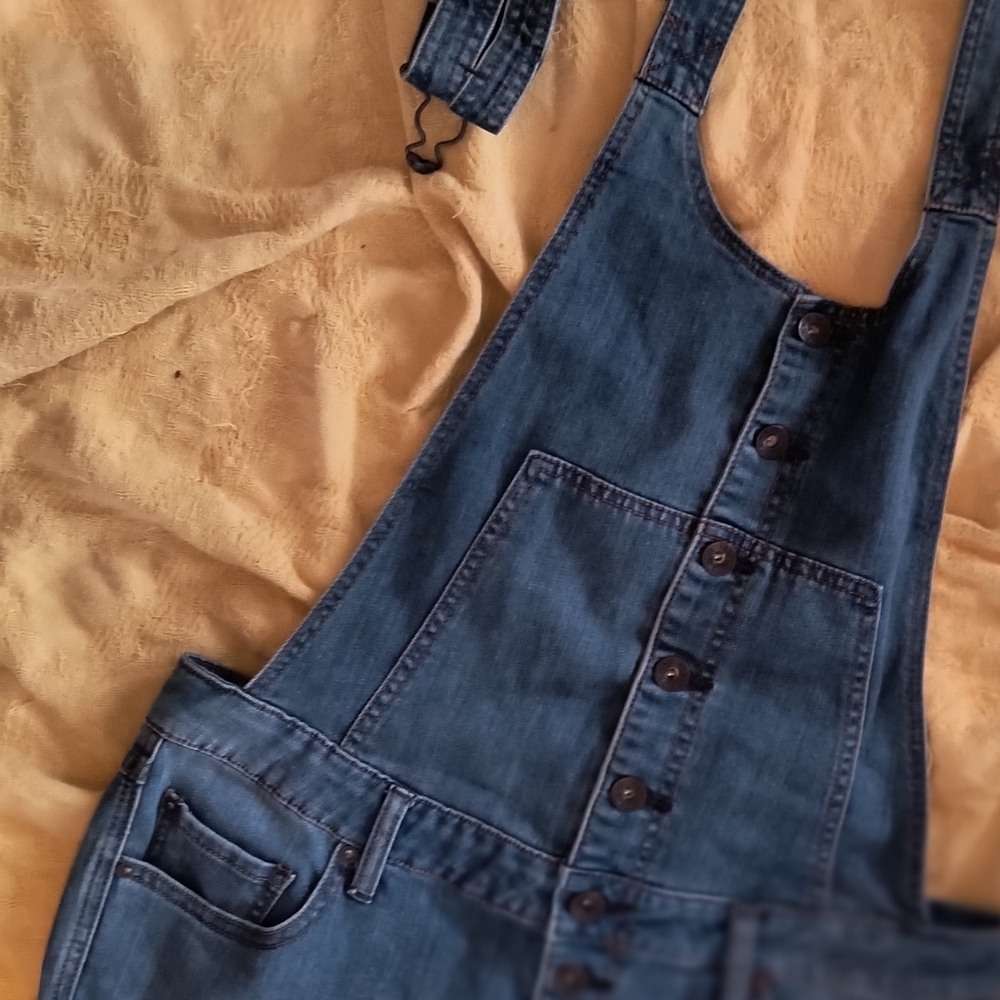 Free People Short Overalls - Picture 3 of 4